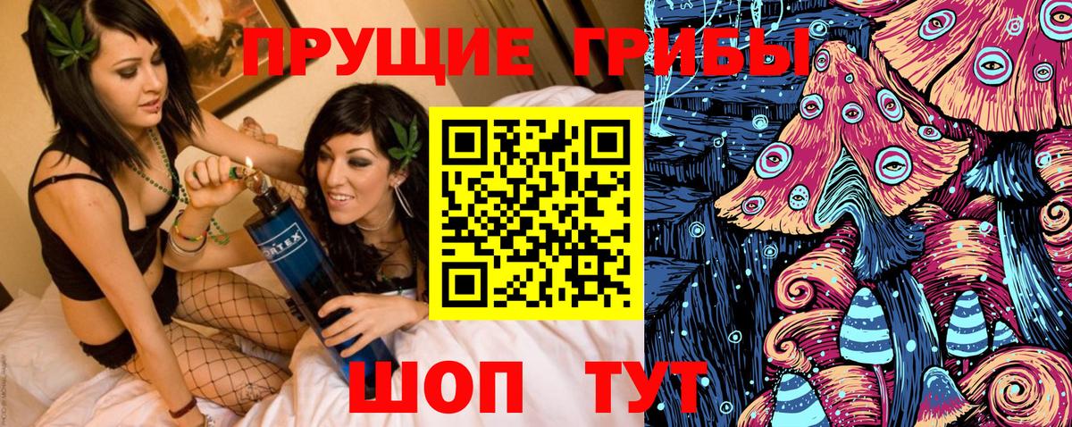 Псилоцибиновые грибы прущие грибы  Вход с VPN  где можно купить   Кинешма 